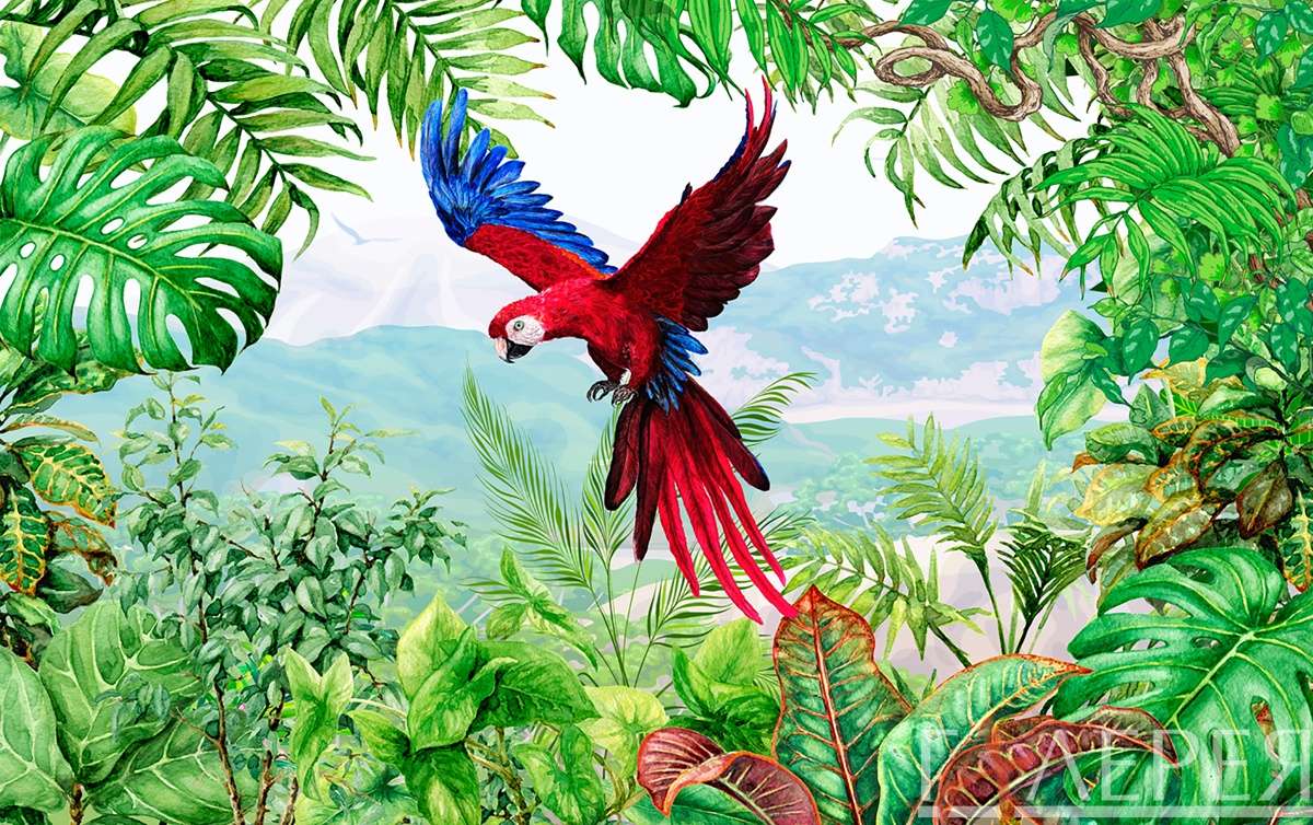 Природа, Тропики, попугай, тропические цветы