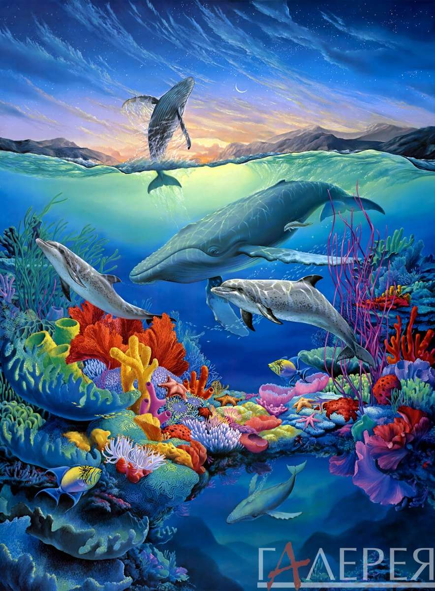 Животные, Дикие животные, дельфин, касатка, коралл, морская звезда, море, морское дно, ночное небо, фреска