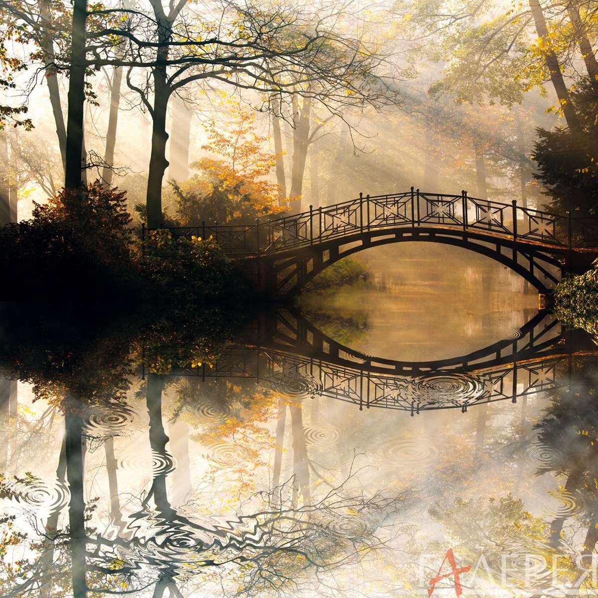 Мосты, мост в лесу, лес, отражение, туман