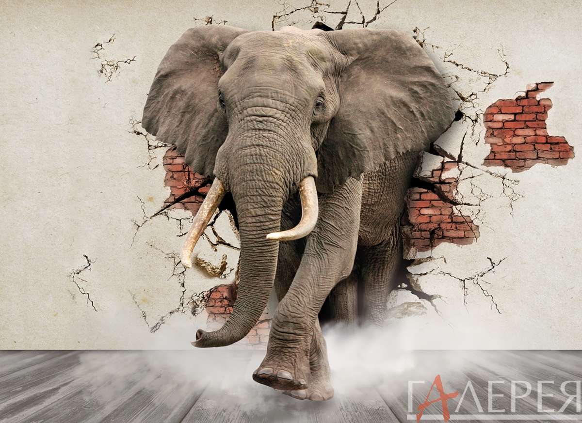Животные, Дикие животные, слон, слон из стены