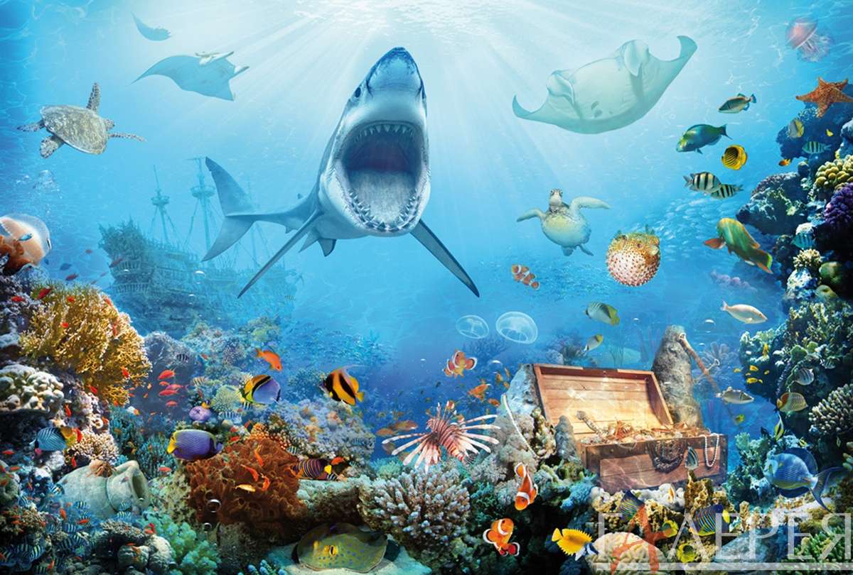 Детские, Тинейджеры, подводный мир, море, под водой, слон, остров, рыбки, акулы, сундук